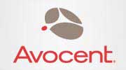 Avocent